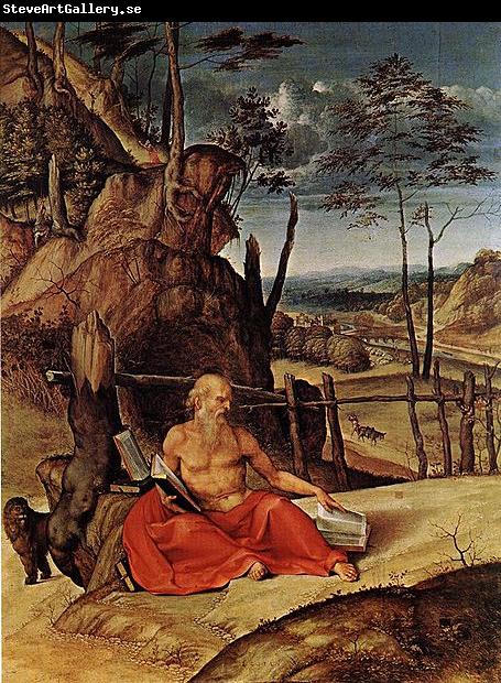 Lorenzo Lotto Penitent St Jerome